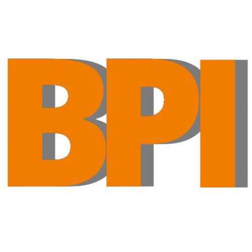 Logo des Kunden BPI Service – Spezialisiert auf Abriss und Sicherheitsdienstleistungen