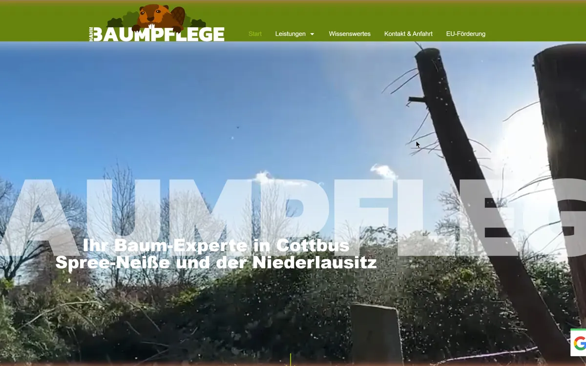 Website-Vorschau: Baumpflege Hahm